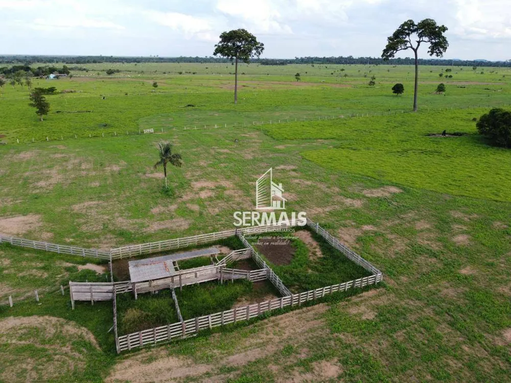 Fazenda, 305 hectares - Foto 1