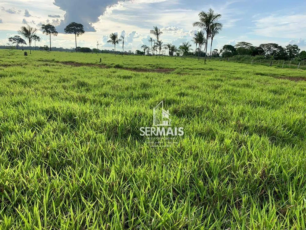 Fazenda, 305 hectares - Foto 2
