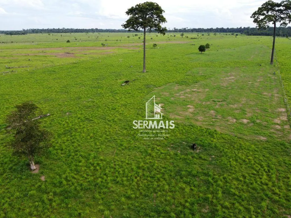 Fazenda, 305 hectares - Foto 3