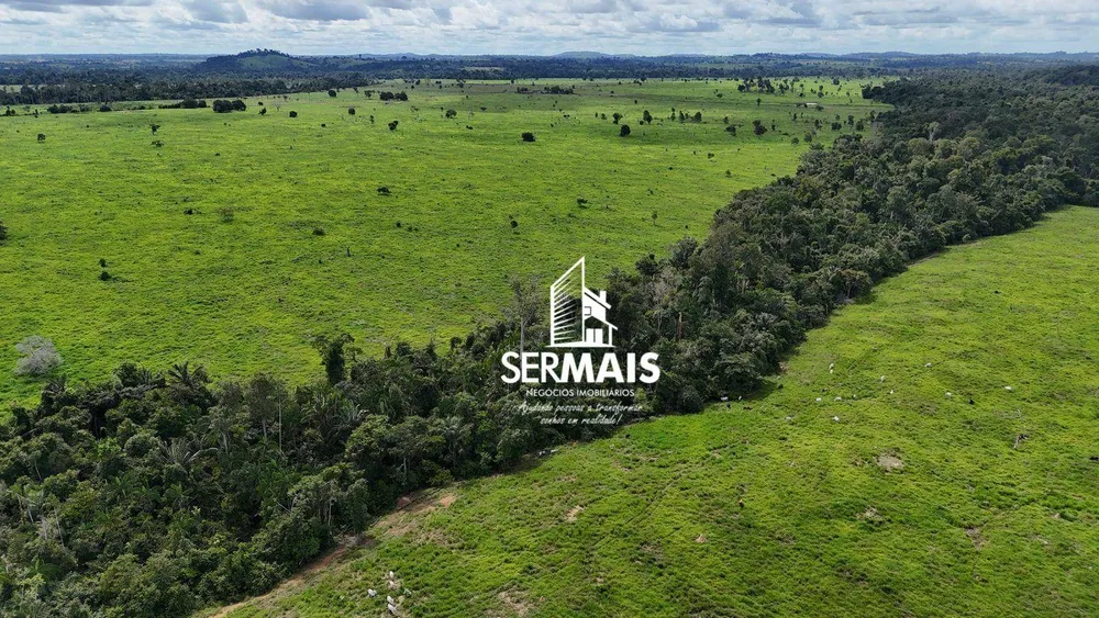 Fazenda, 654 hectares - Foto 6