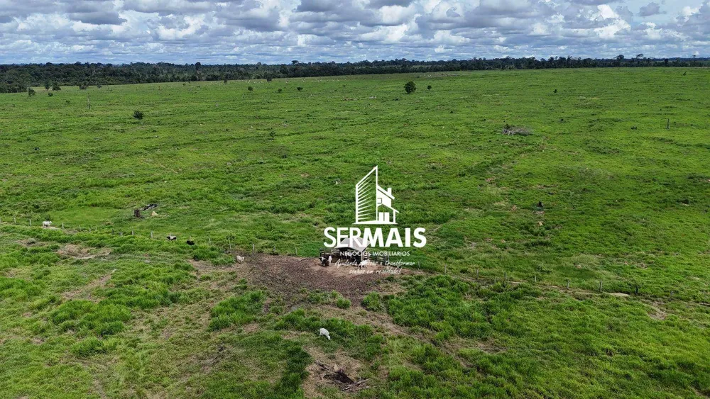 Fazenda, 654 hectares - Foto 7
