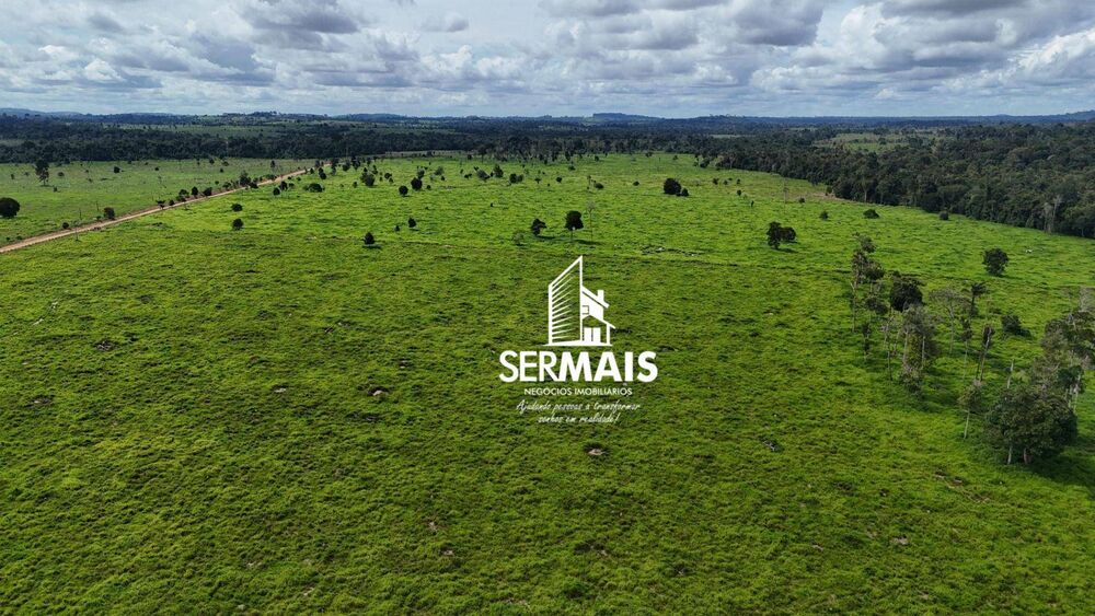 Fazenda, 654 hectares - Foto 4