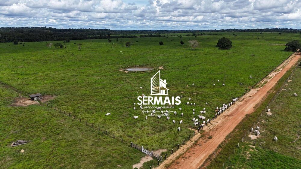 Fazenda, 654 hectares - Foto 2
