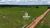 Fazenda, 654 hectares - Foto 2