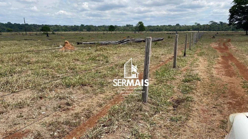 Fazenda, 232 hectares - Foto 3