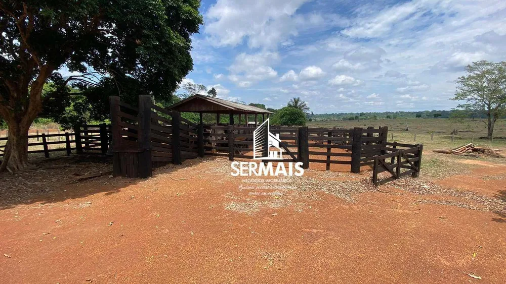 Fazenda, 232 hectares - Foto 6