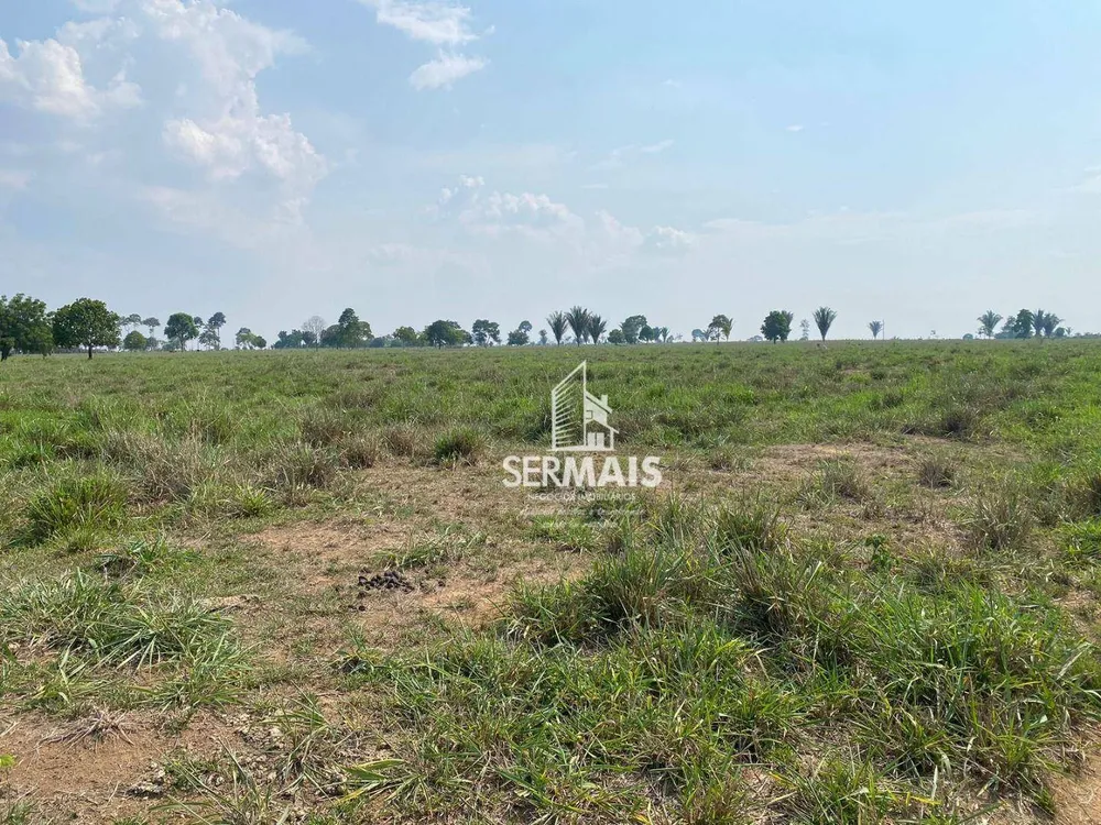 Sítio, 56 hectares - Foto 11