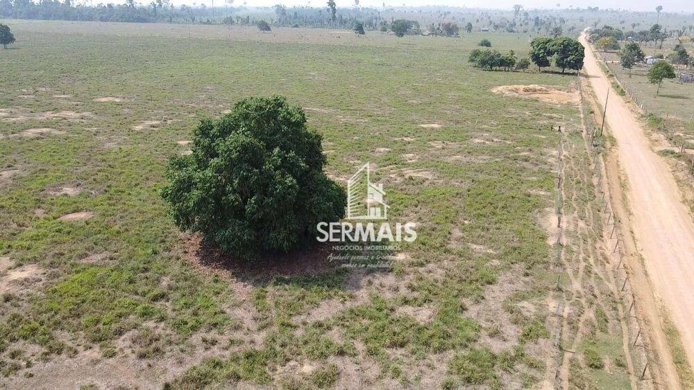 Sítio, 56 hectares - Foto 4