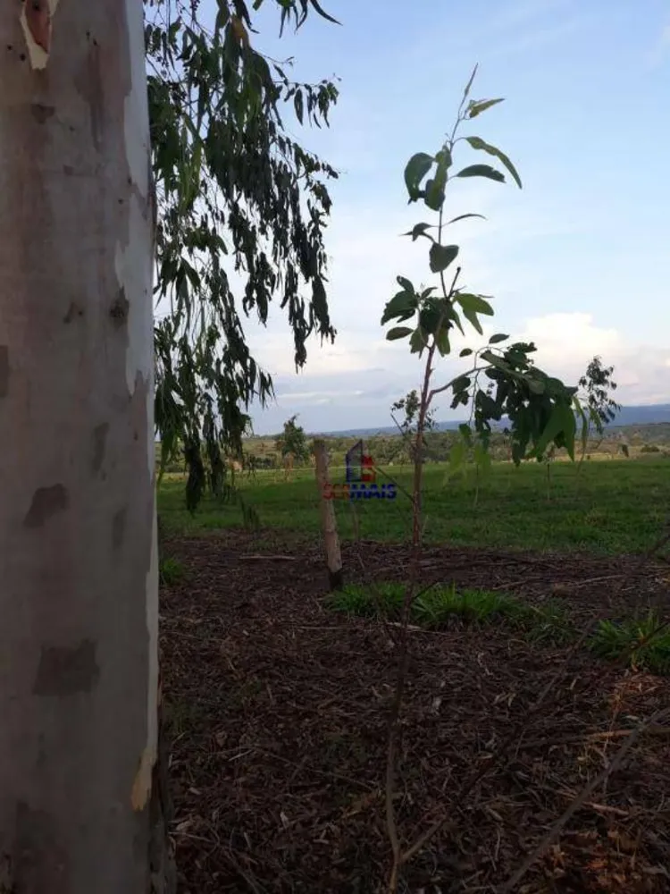 Fazenda, 721 hectares - Foto 22