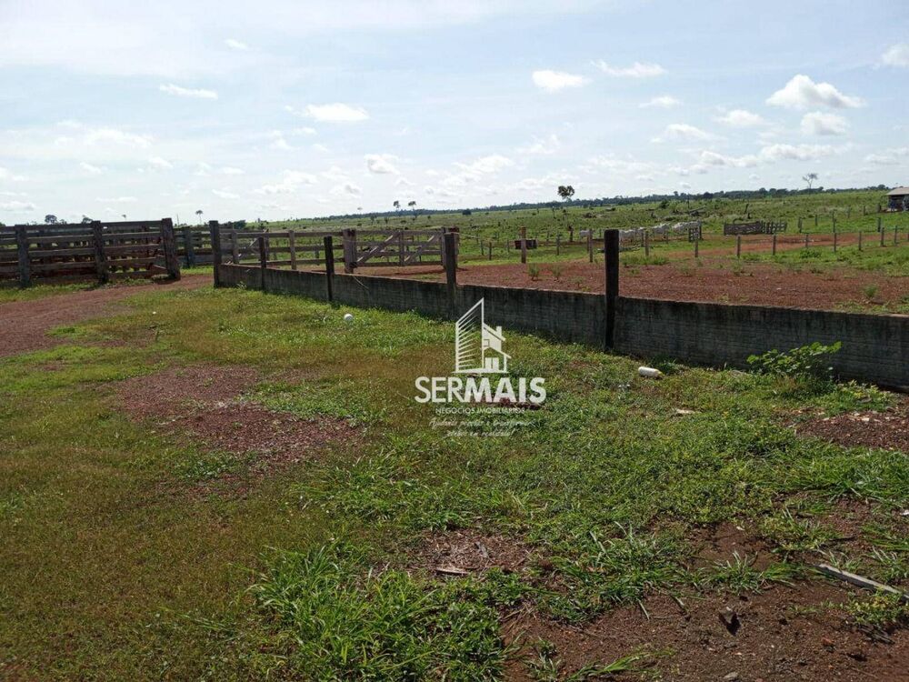 Fazenda, 259 hectares - Foto 3