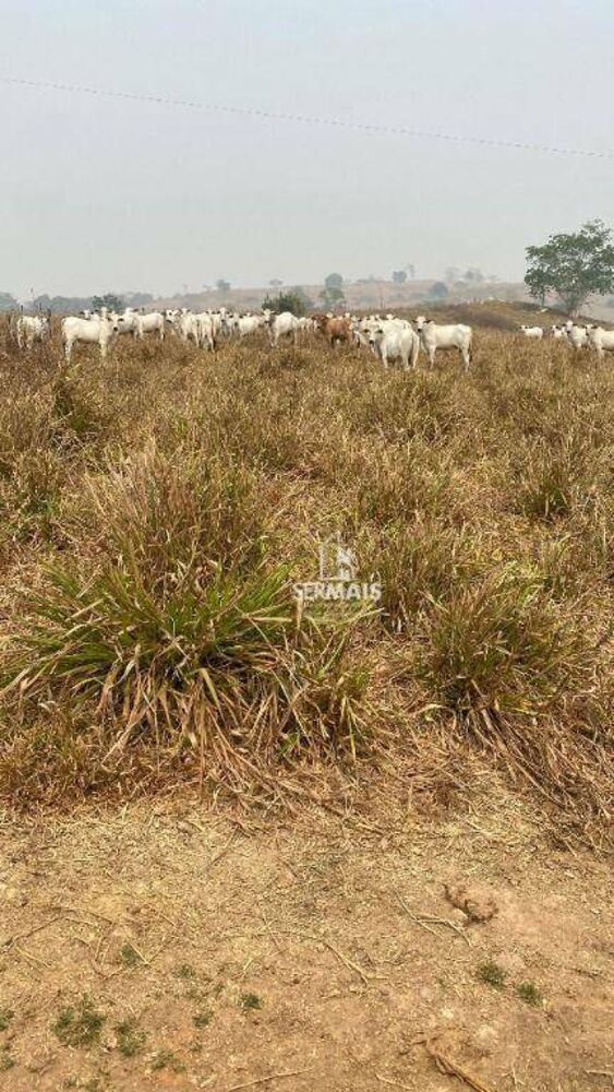 Fazenda, 178 m² - Foto 7