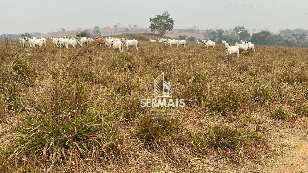 Fazenda, 178 m² - Foto 12