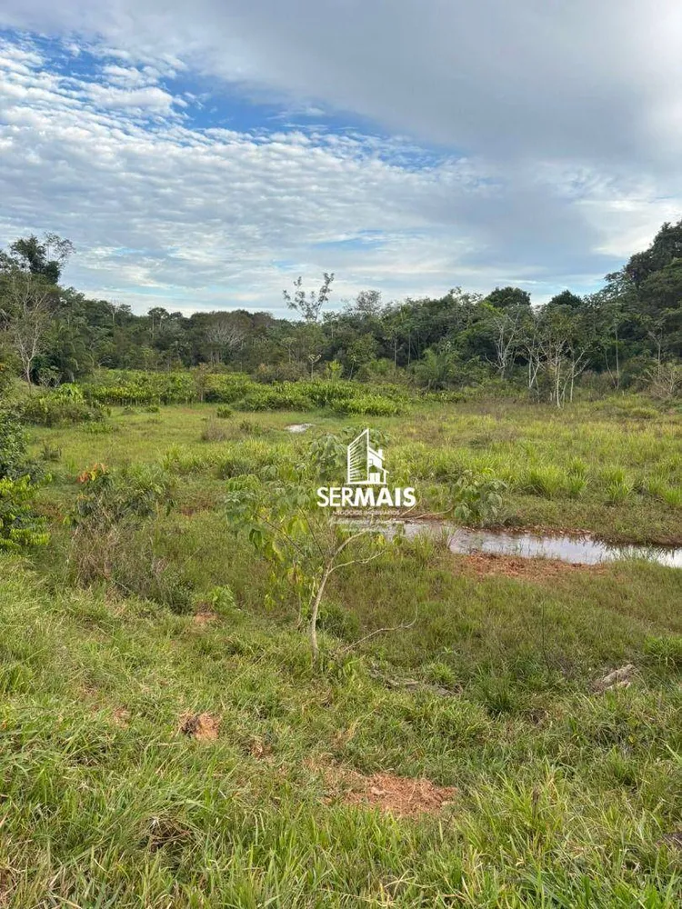 Chácara, 16 hectares - Foto 3