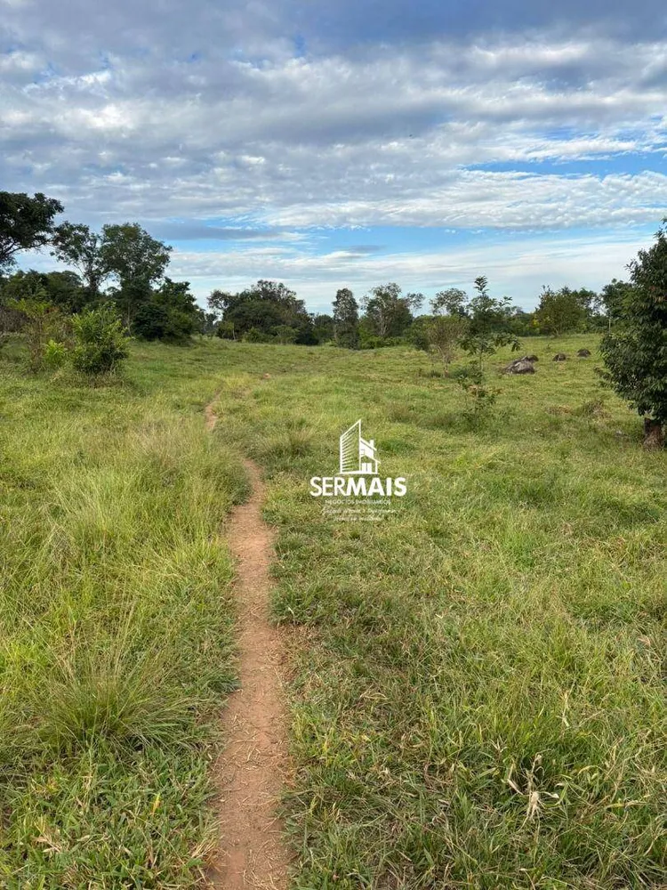 Chácara, 16 hectares - Foto 4