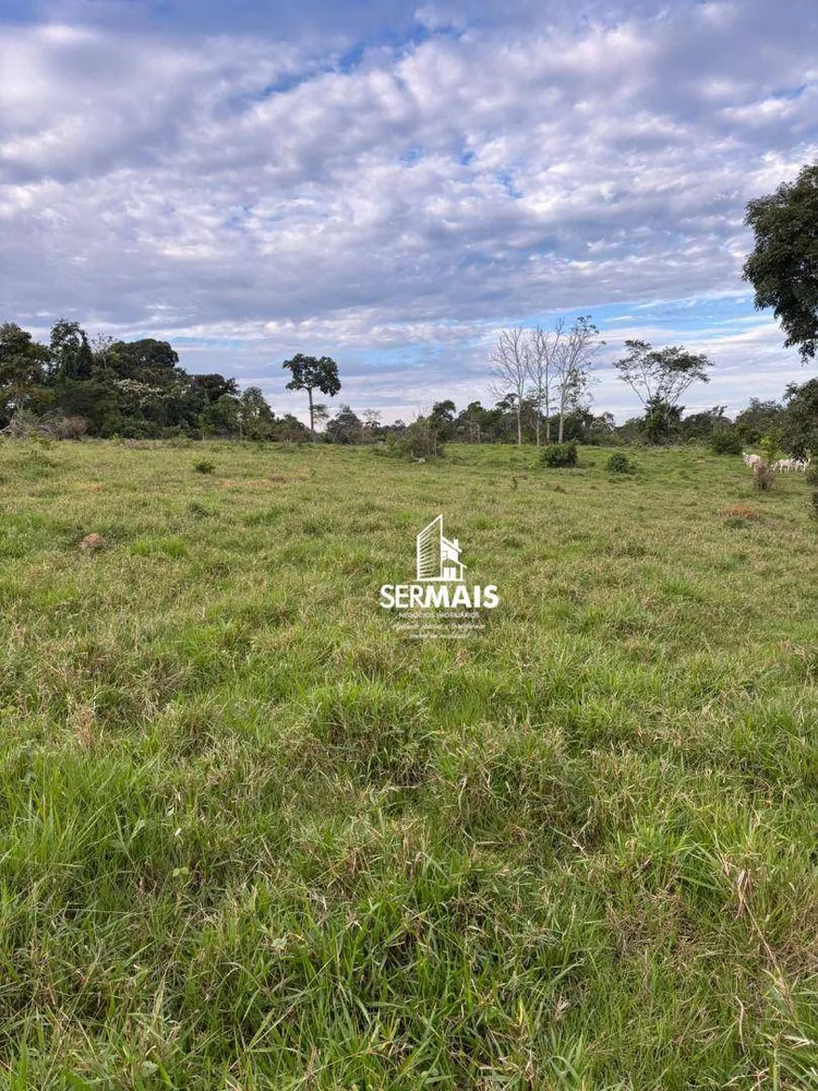 Chácara, 16 hectares - Foto 7