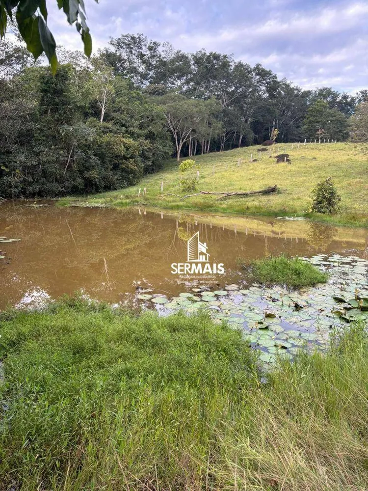 Chácara, 16 hectares - Foto 6