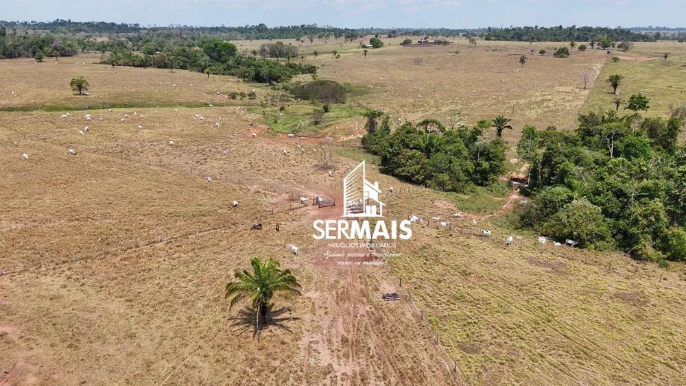 Fazenda, 670 hectares - Foto 4