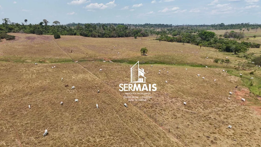 Fazenda, 670 hectares - Foto 3