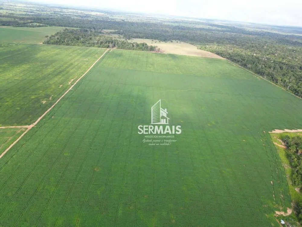 Fazenda, 527 hectares - Foto 3