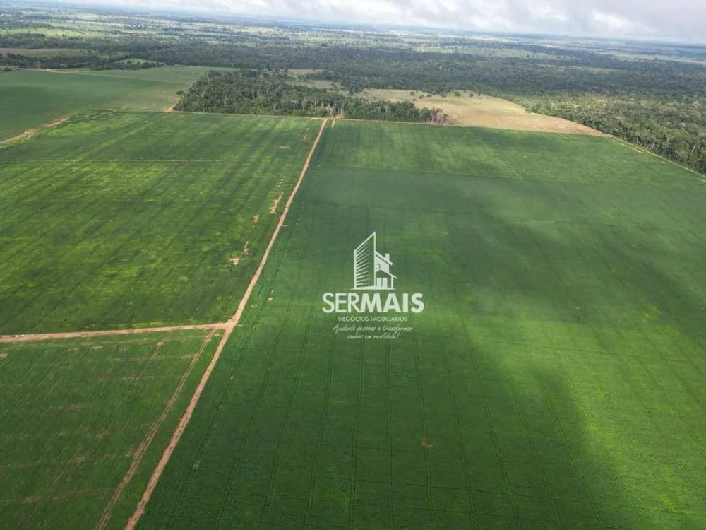 Fazenda, 527 hectares - Foto 2