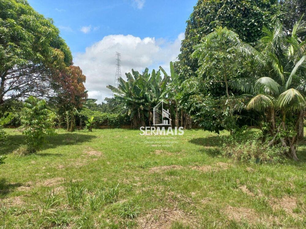 Chácara, 6000 m² - Foto 3