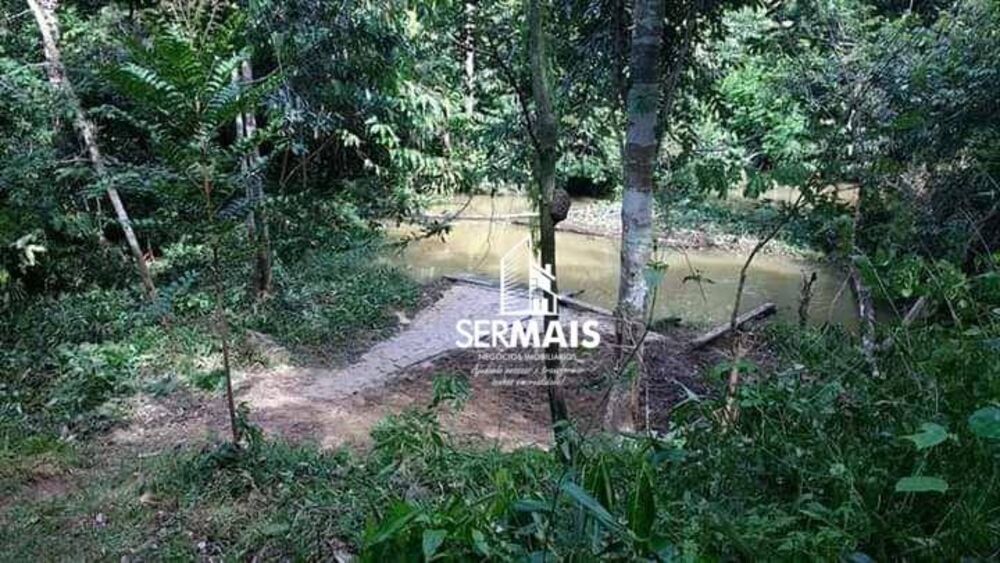 Chácara, 4 hectares - Foto 4
