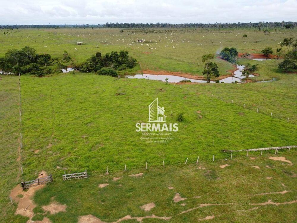 Fazenda-Sítio-Chácara, 334 hectares - Foto 7