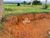 Fazenda, 334 hectares - Foto 4