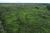 Fazenda, 702 hectares - Foto 4