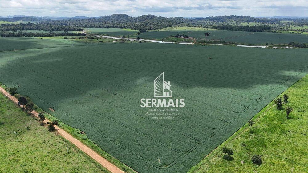 Fazenda-Sítio-Chácara, 1361 hectares - Foto 6