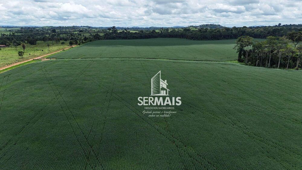 Fazenda-Sítio-Chácara, 1361 hectares - Foto 1