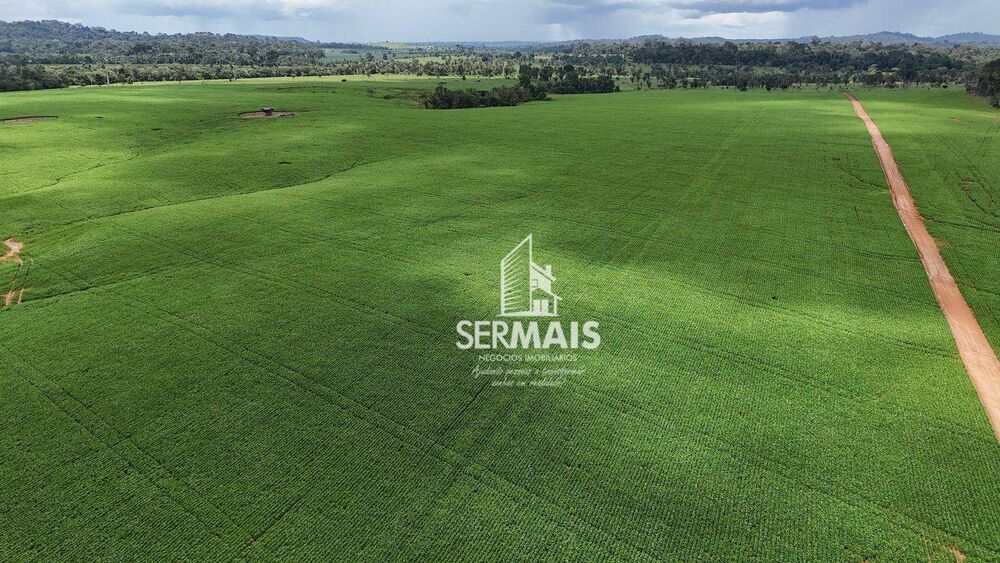 Fazenda-Sítio-Chácara, 1361 hectares - Foto 5