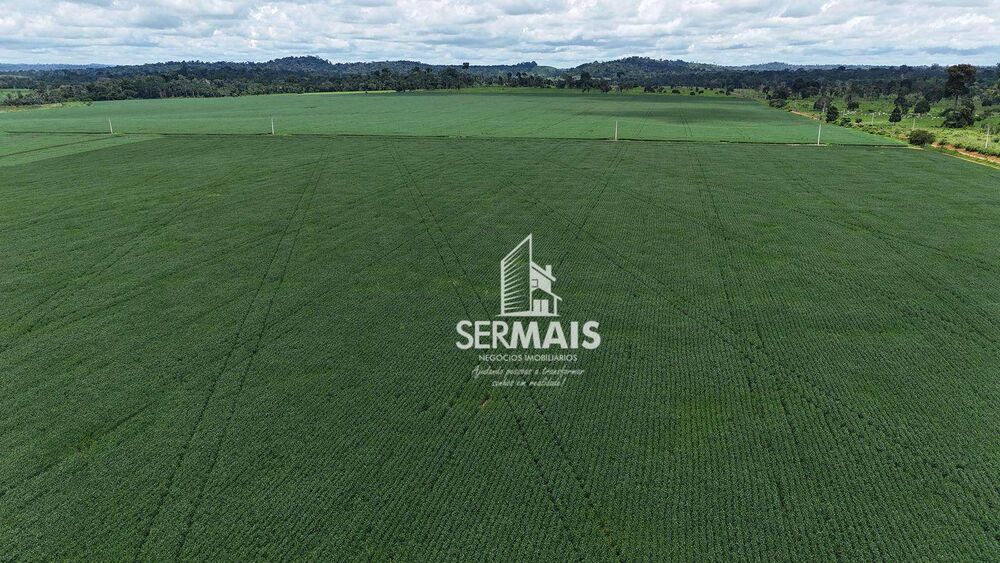 Fazenda-Sítio-Chácara, 1361 hectares - Foto 9