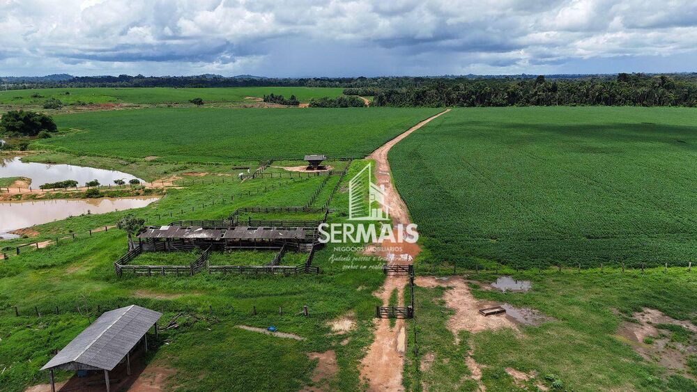 Fazenda-Sítio-Chácara, 1361 hectares - Foto 10