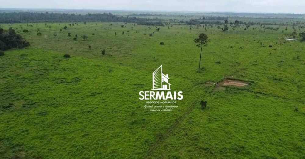 Fazenda, 204 hectares - Foto 8