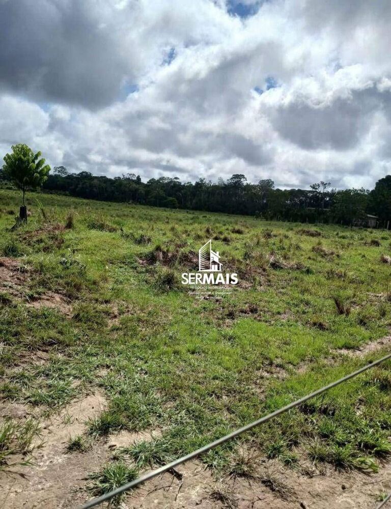Fazenda, 204 hectares - Foto 3