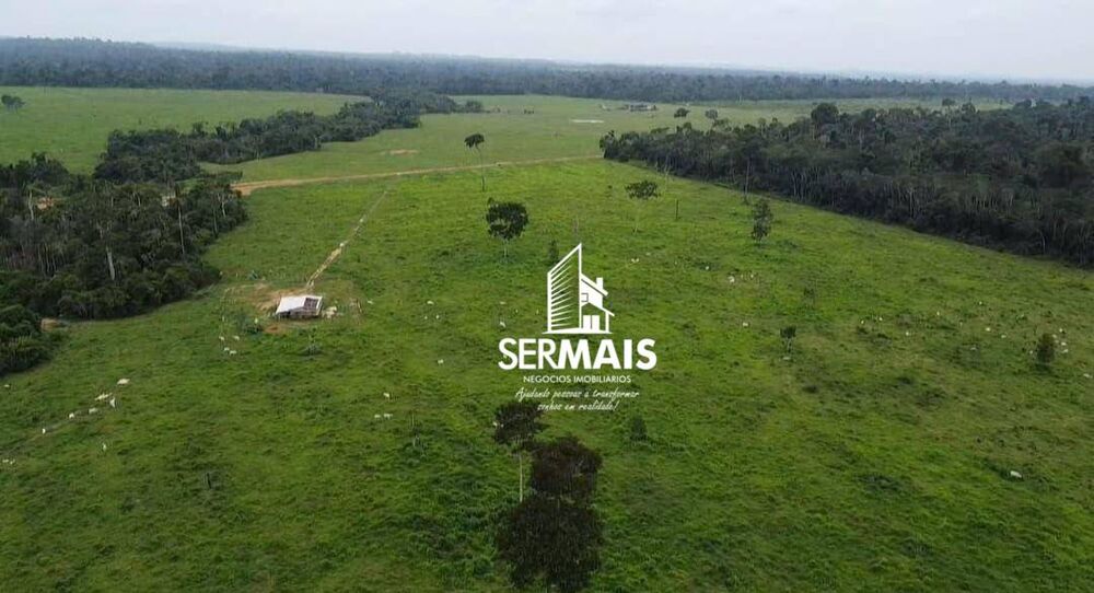 Fazenda, 204 hectares - Foto 6