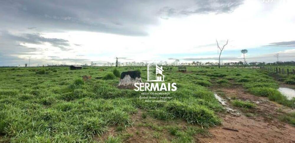 Fazenda, 204 hectares - Foto 10