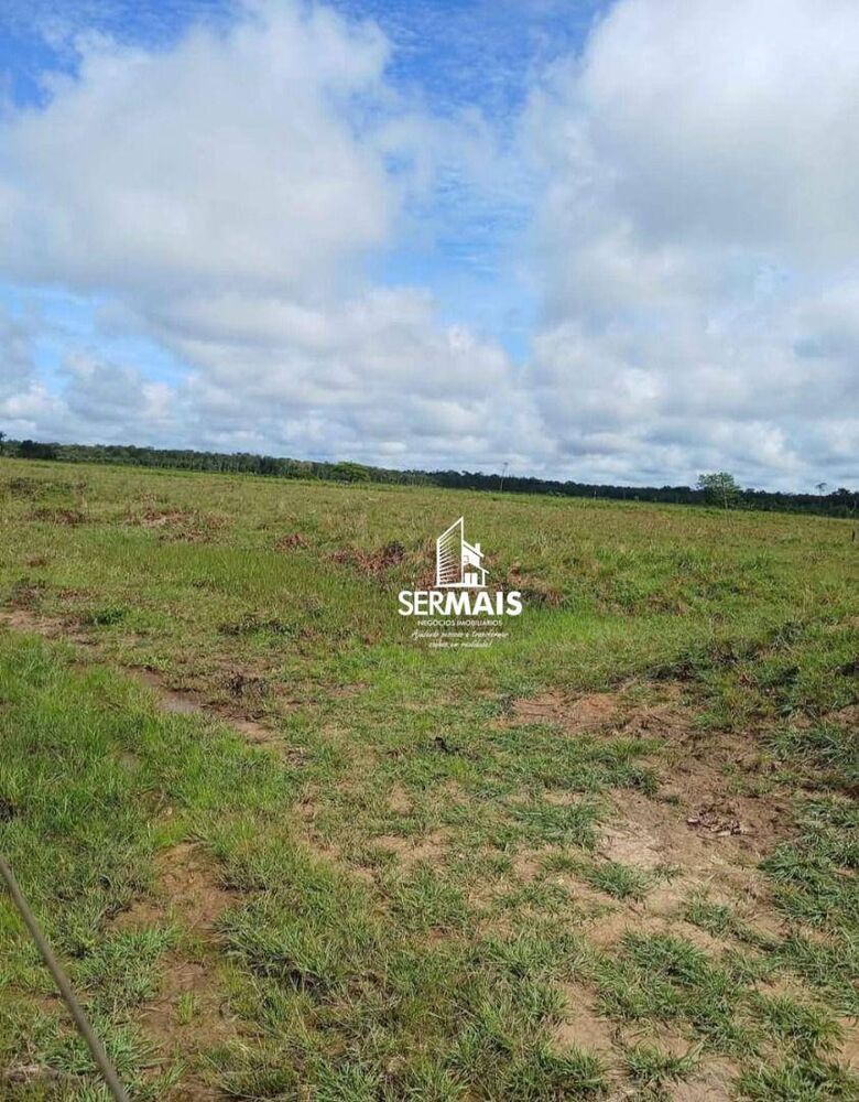 Fazenda, 204 hectares - Foto 2