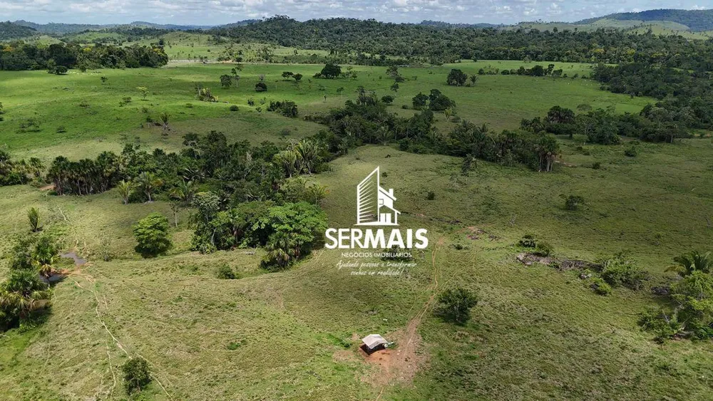 Fazenda, 1116 hectares - Foto 8