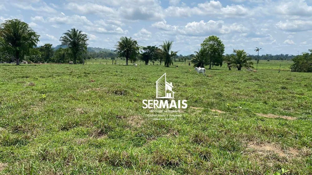 Fazenda, 179 hectares - Foto 9