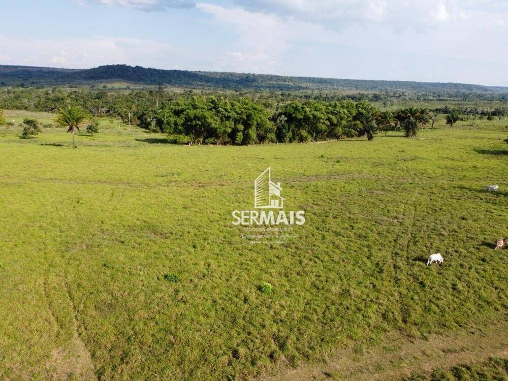 Fazenda, 4000 hectares - Foto 4