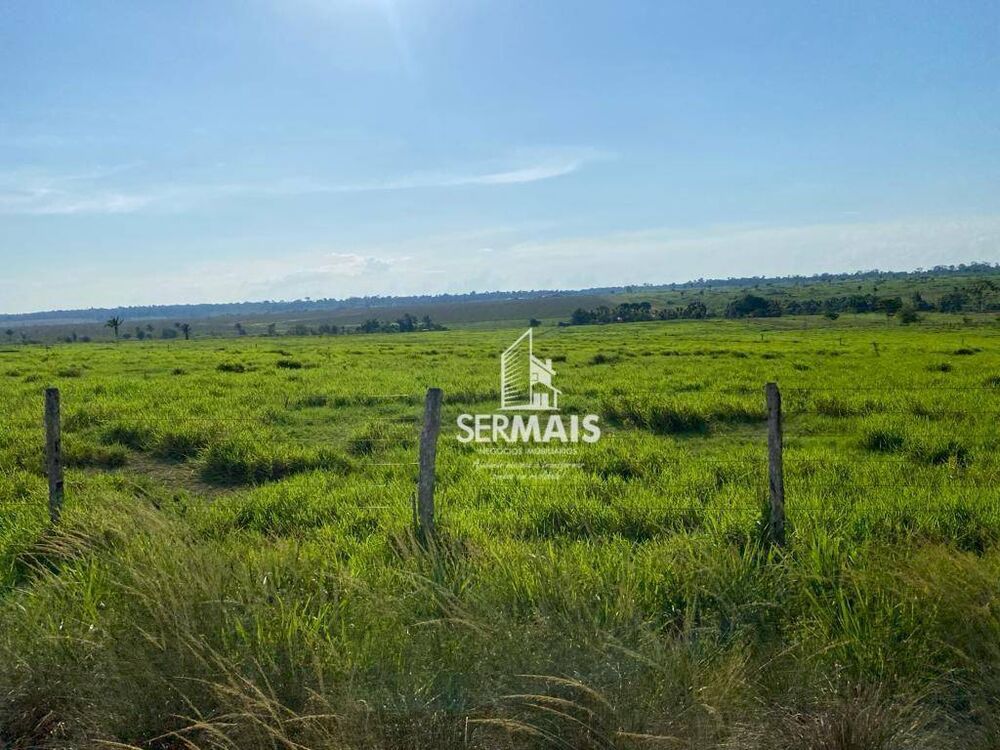 Fazenda, 4000 hectares - Foto 7