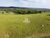 Fazenda-Sítio-Chácara, 4000 hectares - Foto 4