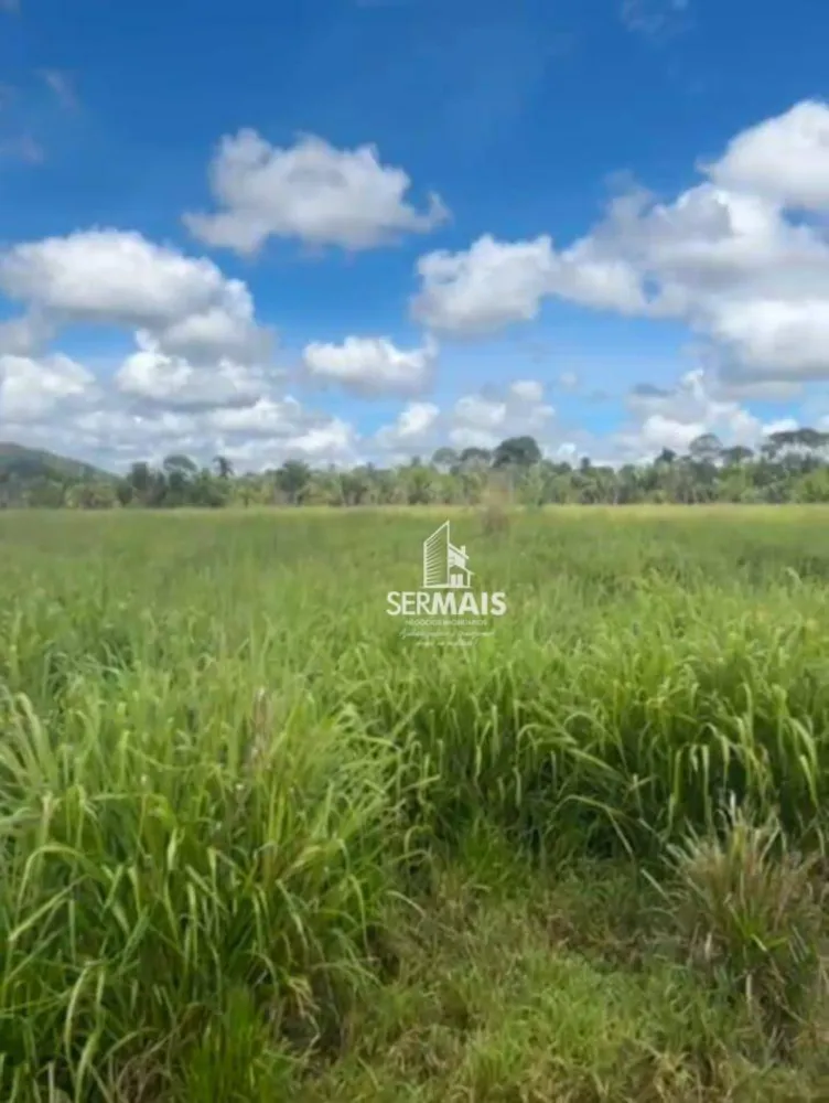 Fazenda, 323 hectares - Foto 16