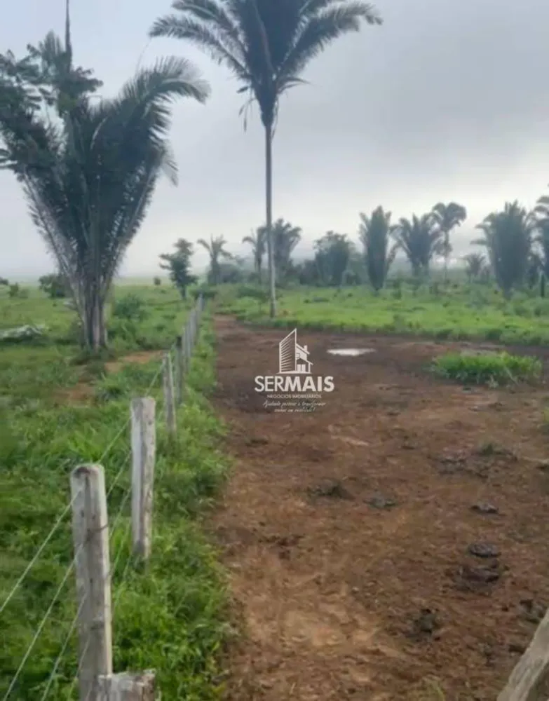 Fazenda, 323 hectares - Foto 8