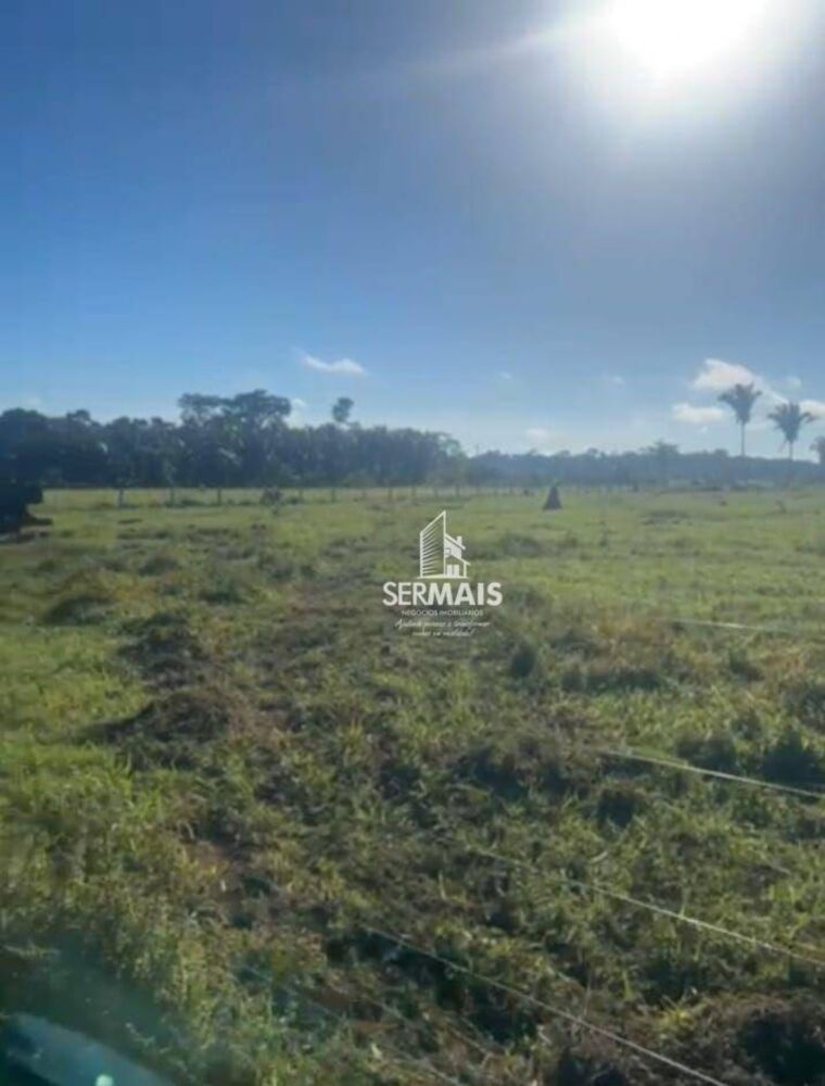 Fazenda, 323 hectares - Foto 3
