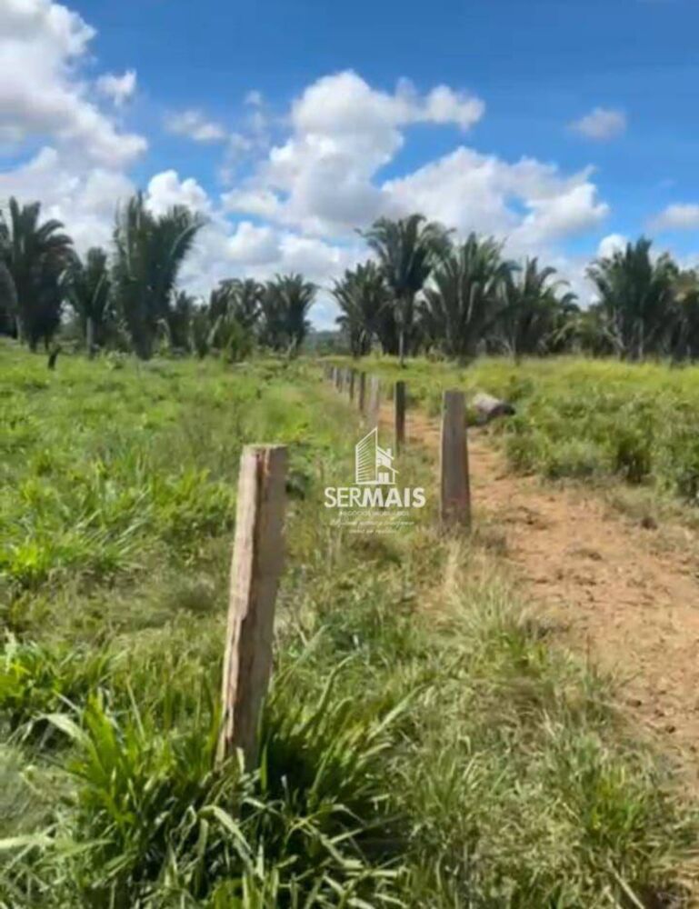 Fazenda, 323 hectares - Foto 4