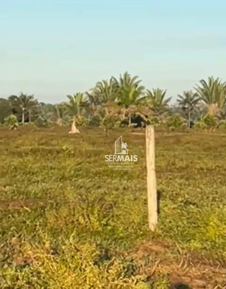 Fazenda, 323 hectares - Foto 10