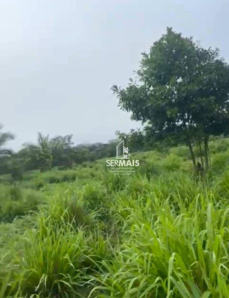 Fazenda, 323 hectares - Foto 1